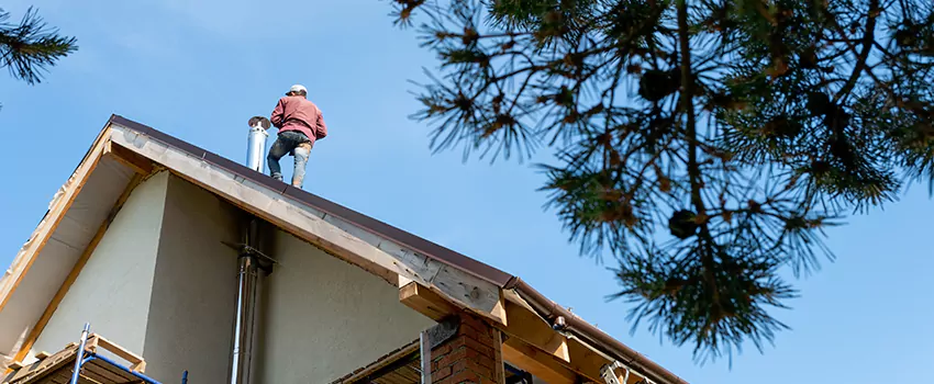Birds Removal Contractors from Chimney in Albemarle, NC